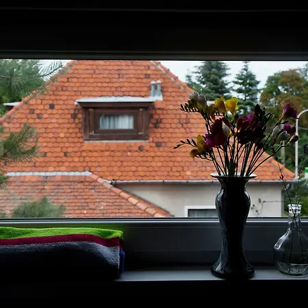 Hostel Easy Rider Wroclaw