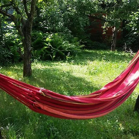 Easy Rider Hostel